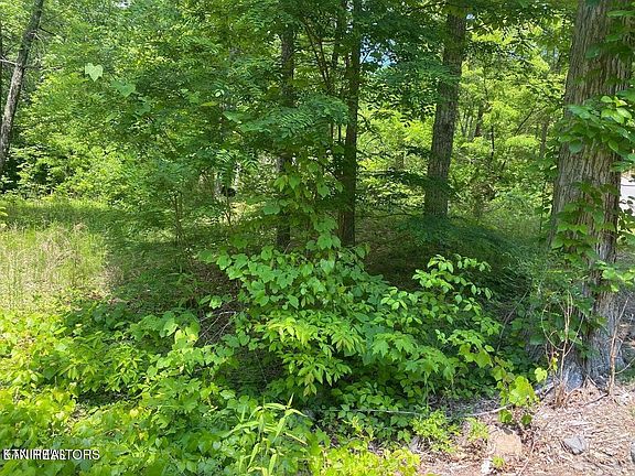 4th image of 61 High St Lot 61