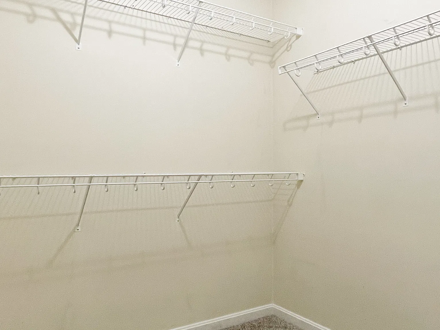 3 bed, 1.5 bath, $2,350 — Photo 3
