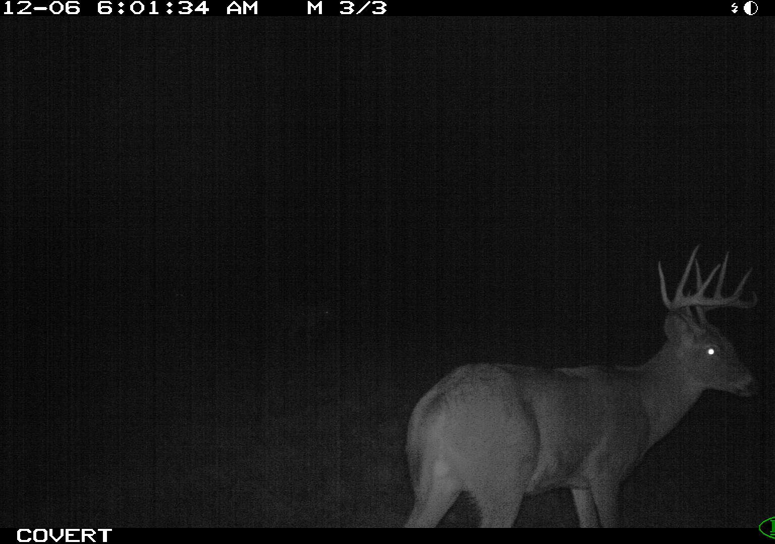 5770 Bard Rd, Coleman, MI 48618 Zillow