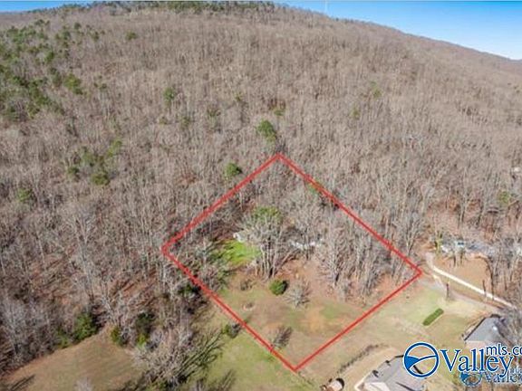 3rd image of 226 Walter Bird Dr