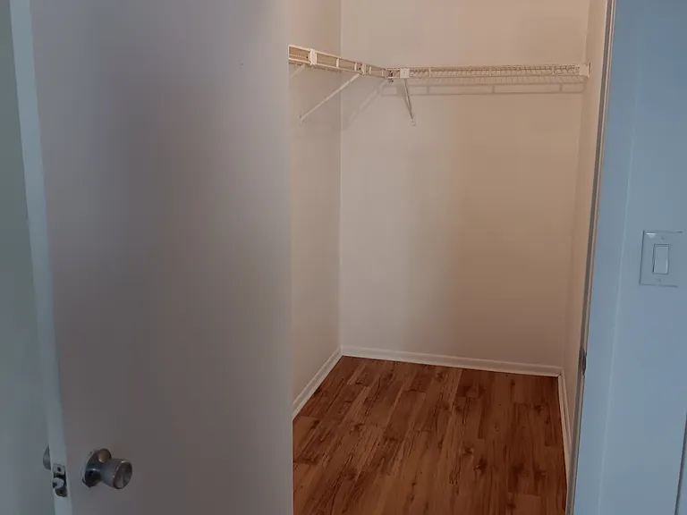 Master walk-in closet