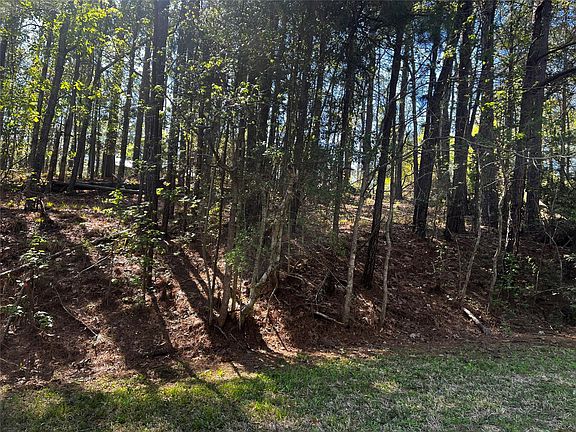 2nd image of 207 Green Tree Dr Lot 20