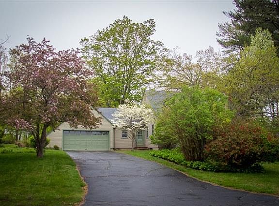 Beautiful flowering trees