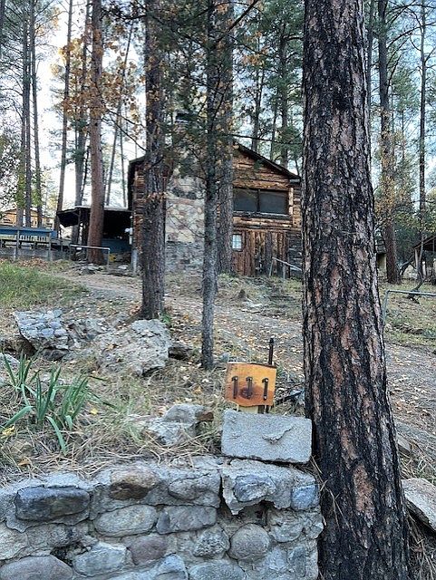 Cabin from road / driveway up