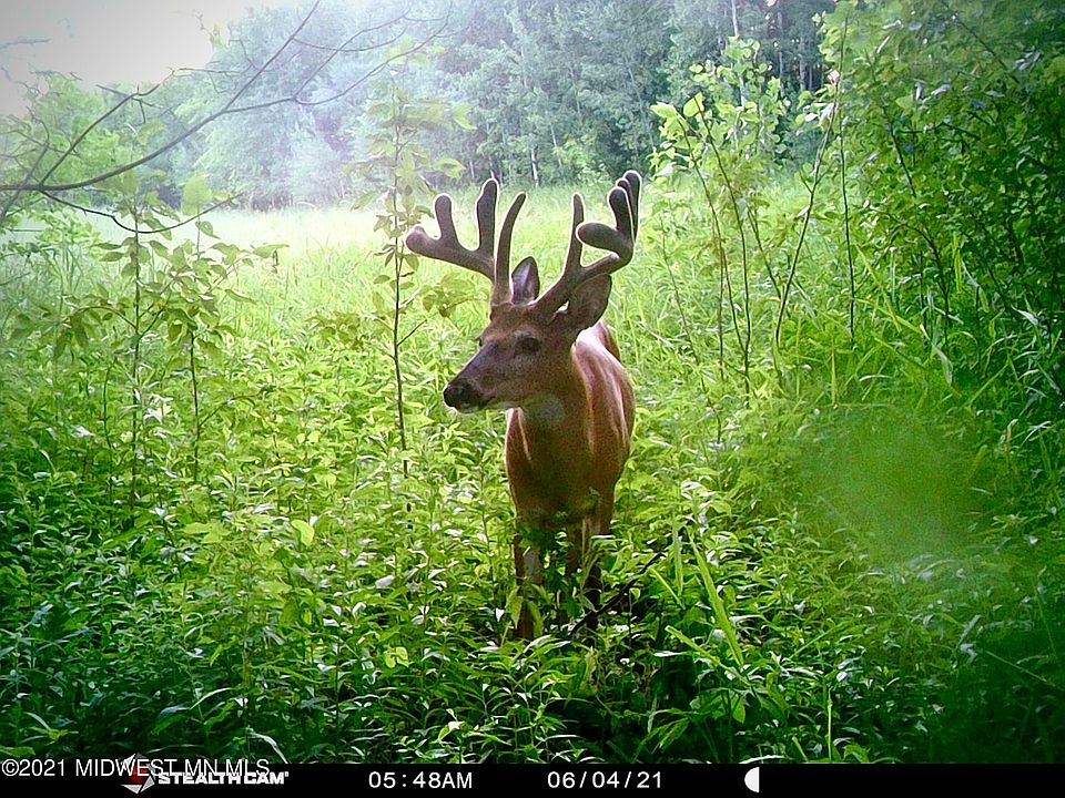 390XX County Rd 34, Ogema, MN 56569 MLS 6208256 Zillow