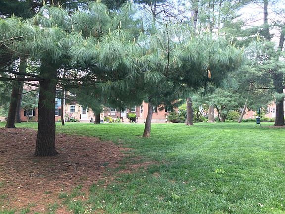 View from front patio.