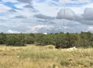 20 Chimney Ln, Carlsbad, NM 88220
