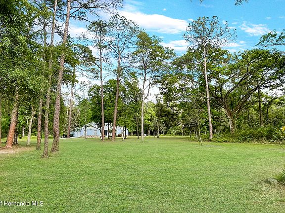 5th image of 12708 Bellamy Brothers Blvd