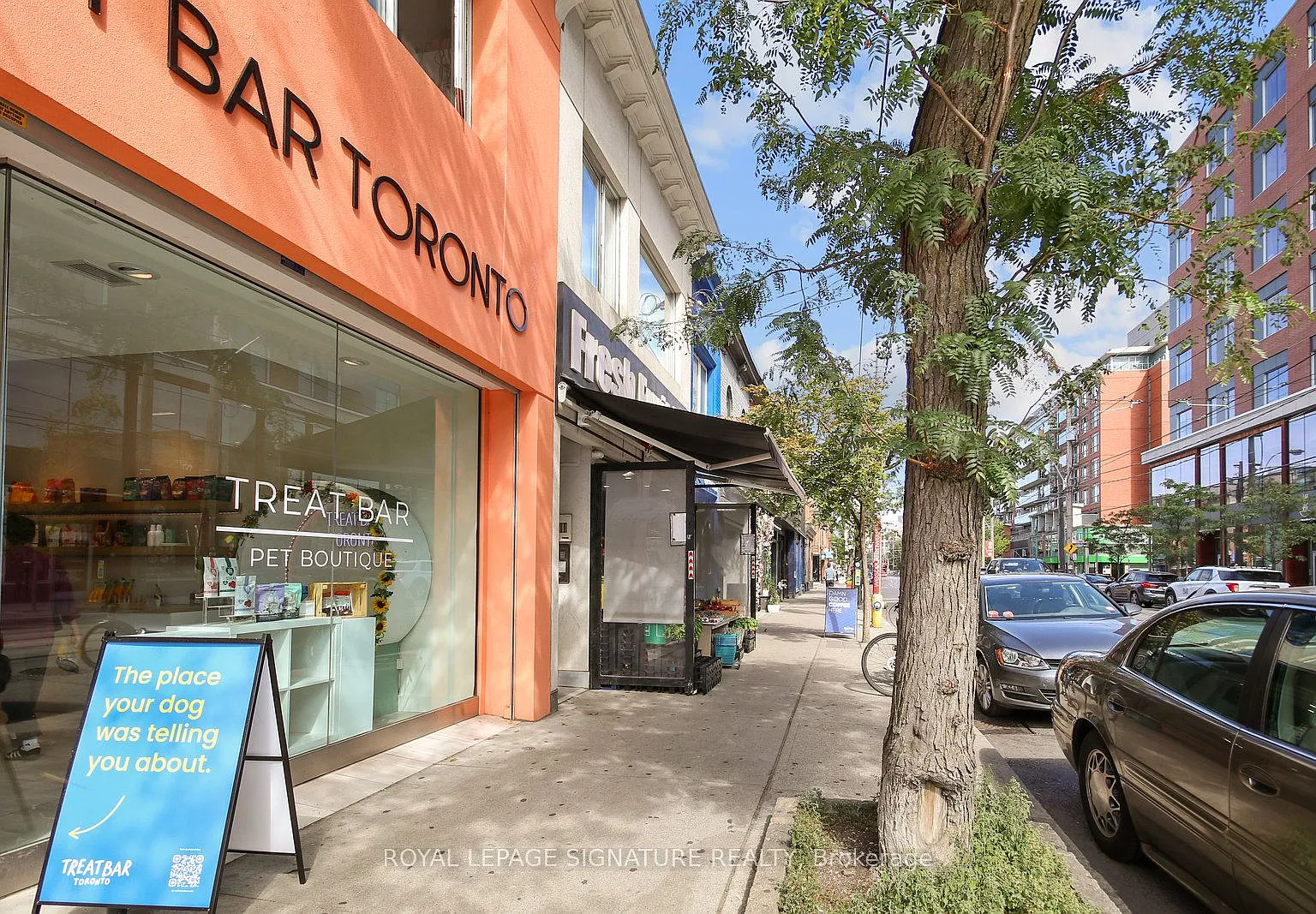 1 bed, $2,600 — Photo 3