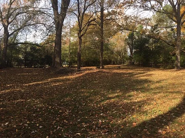 150 Arthur Cir — Photo 30