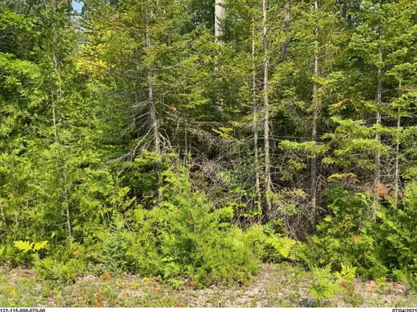 Nhn E Grand Lake Rd, Presque Isle, MI 49777