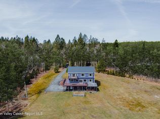 656 White Roe Lake Rd, Livingston Manor, NY 12758