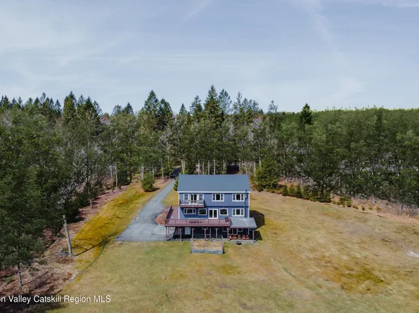 656 White Roe Lake Road, Livingston Manor, NY 12758