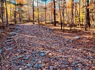 0 Skipperene Rd, Cochecton, NY 12726