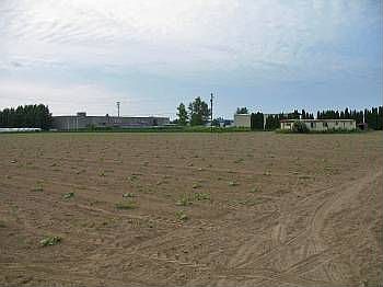 2nd image of 7109 48th St E