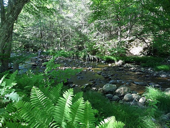 5th image of 30 River Rd