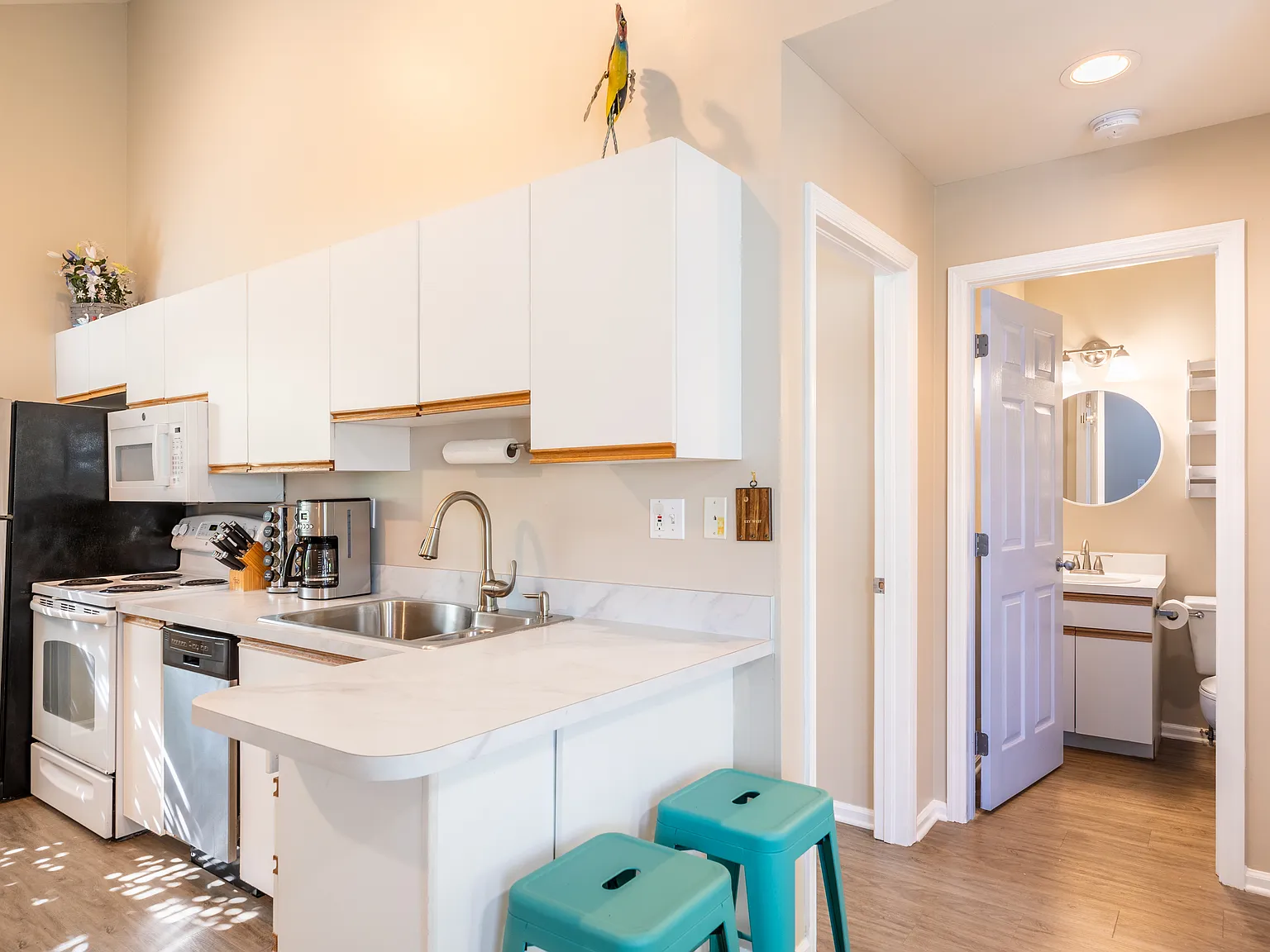 2 bed, 580 sqft, $5,500 — Photo 3
