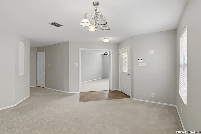 25537 Gold Yarrow — Photo 5