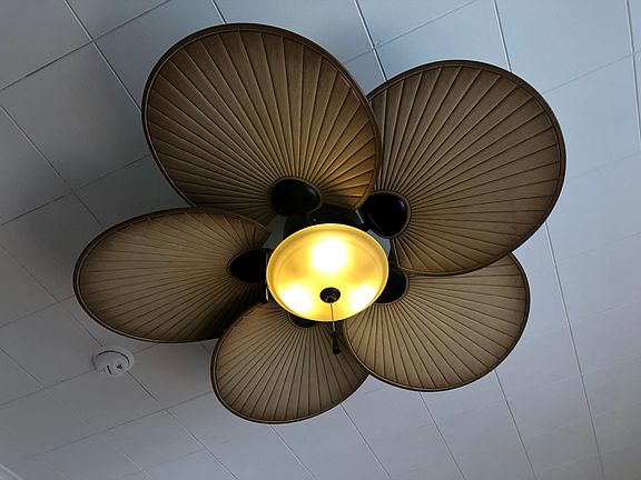 Please answer the questions in the ad below if you would like a response.