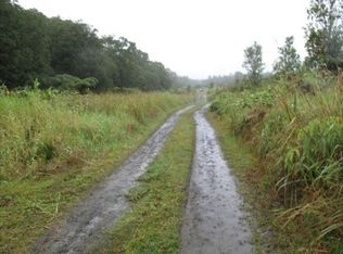 Lehuanani St LOT 896, Volcano, HI 96785