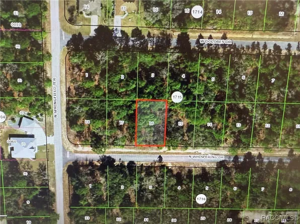 6575 N Whispering Dr, Citrus Springs, FL 34434