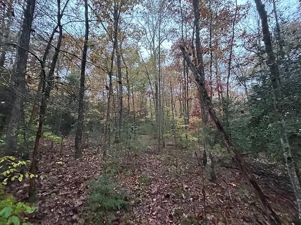 N/a Graveyard Rd #E/o, Jamestown, TN 38556