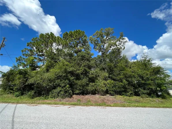 SE 98th Ct Lot 30, Summerfield, FL 34491