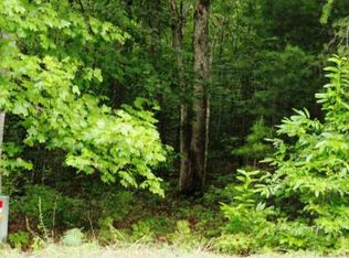 9LT Three Spring Hills Ln, Blairsville, GA 30512