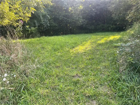 53956 Stop 32 Hl #32, Blaine, OH 43909