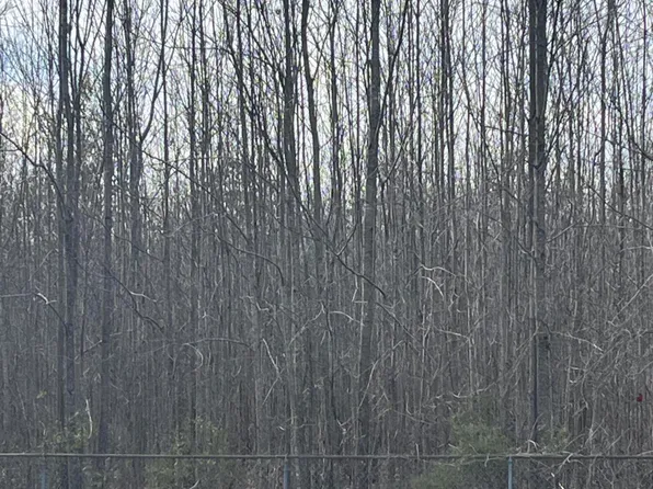 Highway 3037, Jonesville, LA 71343