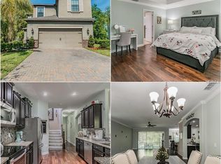 9906 Spice Bush Ct, Tampa, FL 33647