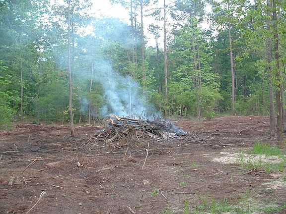 Clearing acres
