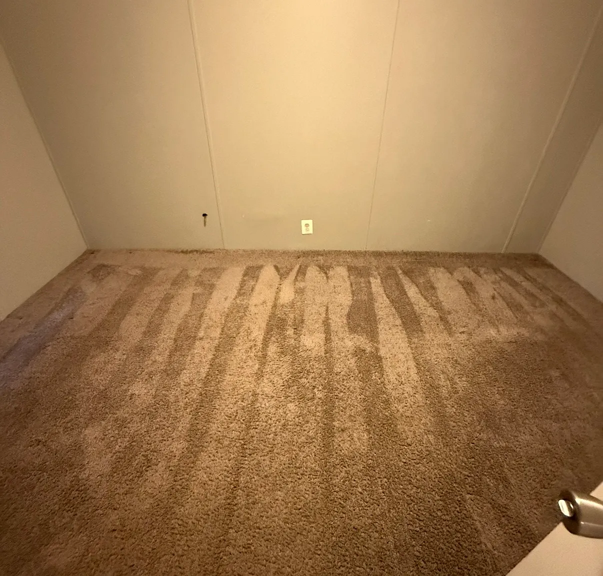 2 bed, 1000 sqft, $1,275 — Photo 4