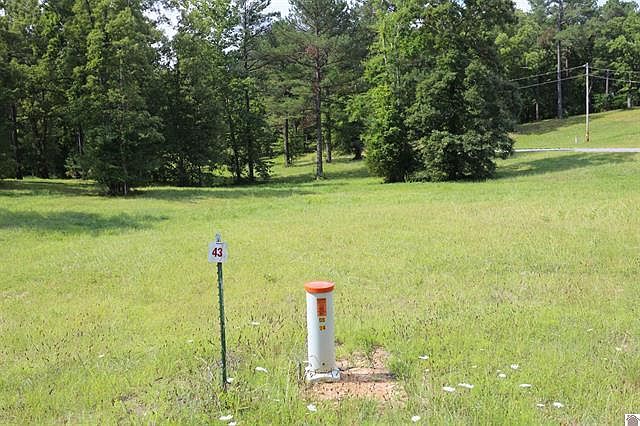 1st image of LOT 43 Pine View Dr