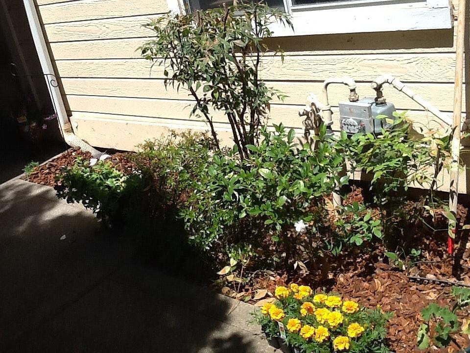 1st image of 4035 Eastwood Village Ln