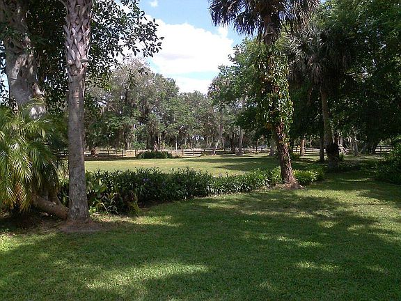 Front Lawn
