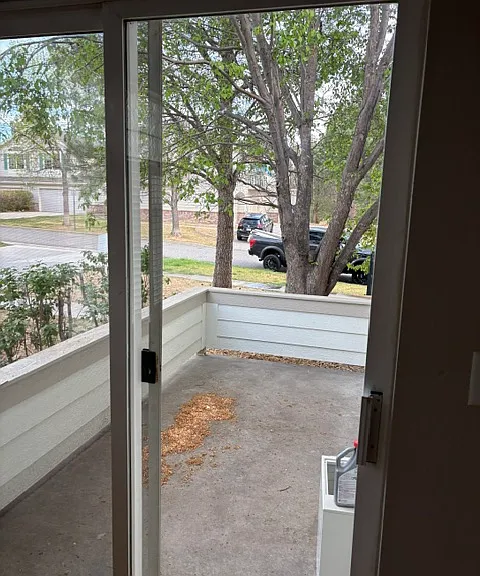2949 Whitetail Cir — Photo 13