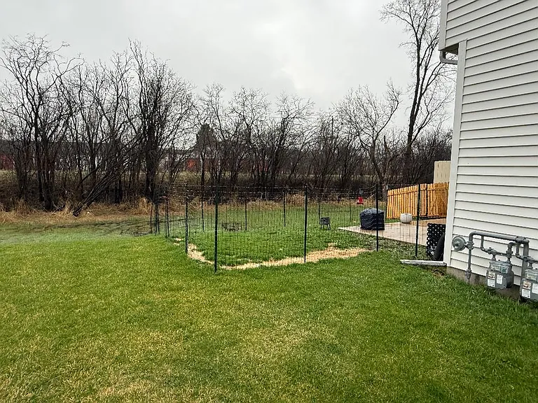 fenced area for pet