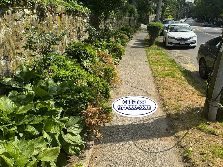 1178 Warburton Ave #2 — Photo 23