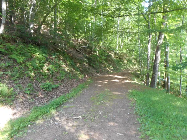 0 Rabbit Ln, Franklin, NC 28734