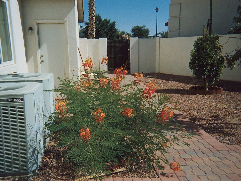 Side yard, brick pavers