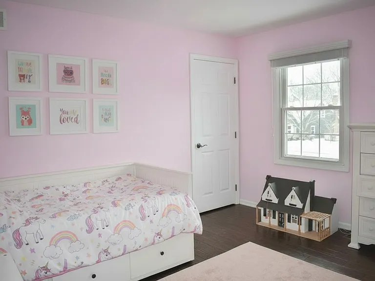 2nd bedroom - walk in closet