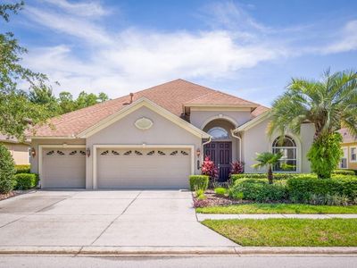 8343 Old Town Dr, Tampa, FL, 33647