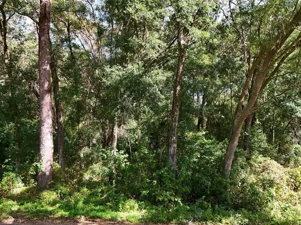 4197 N Indianriver Dr, Hernando, FL 34442