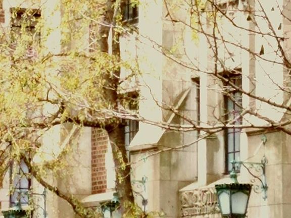 2nd image of 25 Tudor City Pl APT 320