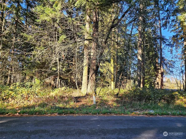 12909 Kapowsin Highlands Drive E, Graham, WA 98338