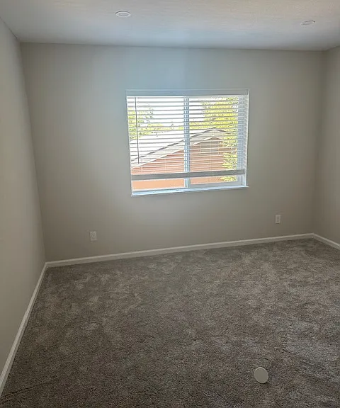 224 Brittain Ln — Photo 14