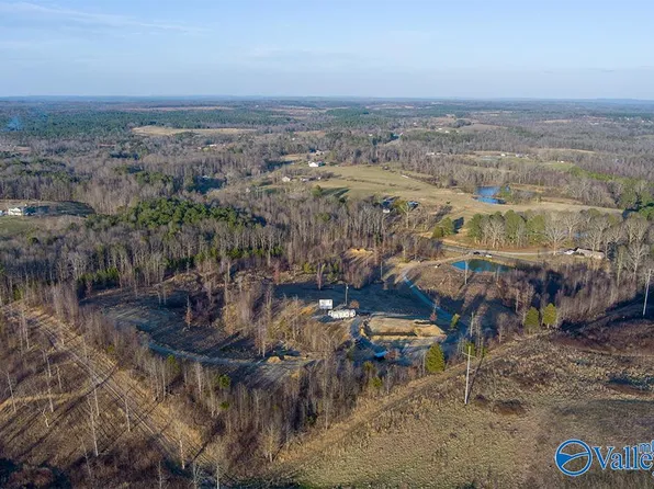 388 County Road 128, Flat Rock, AL 35966