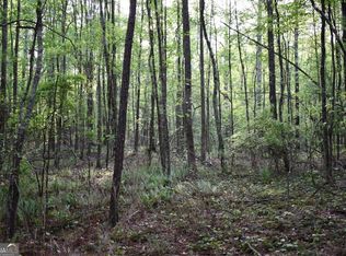 4 Windridge Ln, Temple, GA 30179