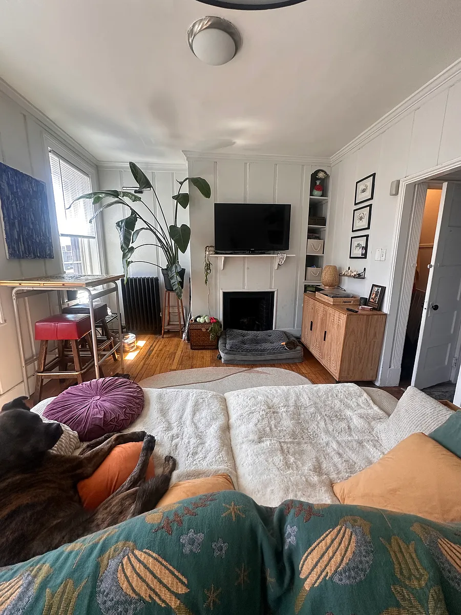 Building Photo - 85 Myrtle St #8